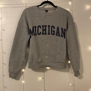 ✰ Grey Michigan Sweatshirt ✰
